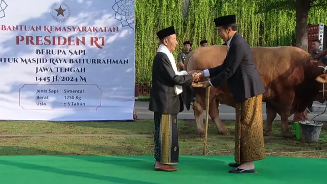 Presiden Joko Widodo (Jokowi) berkurban sapi jenis limosin seberat 1,25 ton yang diserahkan di Masjid Baiturrahman Semarang.