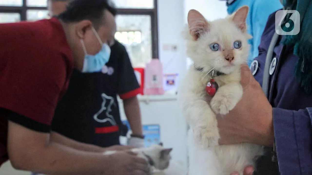 FOTO: Ratusan Hewan Peliharaan di Kota Tangerang Disuntik Vaksin Antirabies