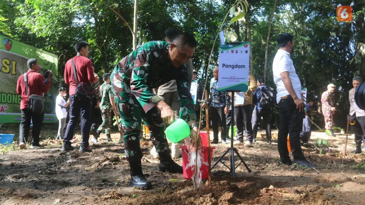 Reboisasi Bekas Tambang