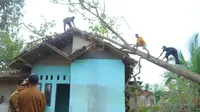 Hujan Deras dan Angin Kencang Terjang Pringsewu, Belasan Rumah Warga Rusak