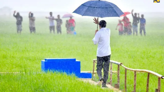Presiden Jokowi bersama Menteri Pekerjaan Umum dan Perumahan Rakyat (PUPR) Basuki Hadimuljono meninjau kawasan food estate di NTT