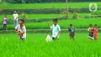 Anak-anak bermain layang-layang pada areal sawah di kawasan Sukamakmur, Bogor, Jumat (15/07/2022). Mereka menghabiskan waktu bermain saat mengisi waktu libur panjang  sekolah.
(merdeka.com/Arie Basuki)