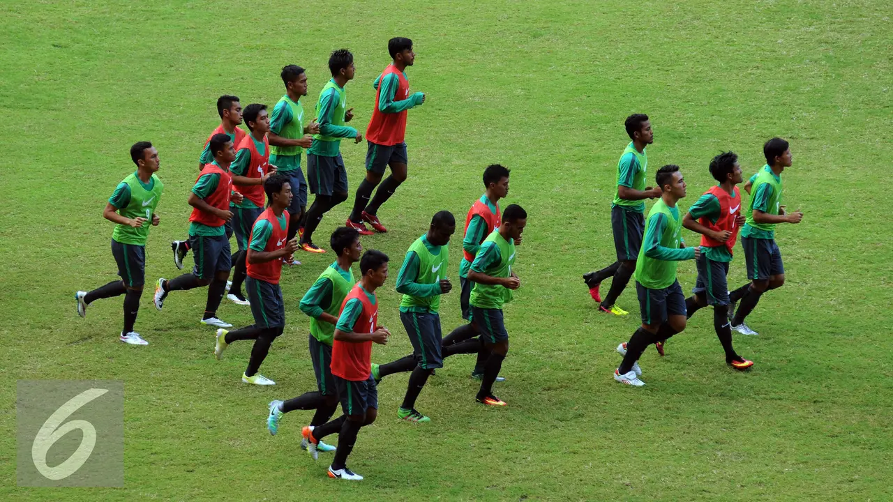 Timnas Senior Indonesia