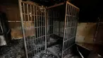 Sel penjara buatan militan ISIS di Falluja, Irak (27/6). Setelah berhasil merebut kembali Falluja, militer Irak menemukan sebuah bangunan yang berisi jeruji besi mirip kandang hewan, diduga merupakan sel buatan ISIS.(REUTERS/ Thaier Al-Sudani)