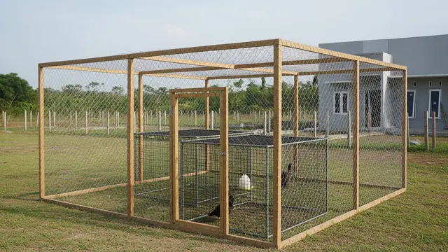 Umbaran Ayam Dengan Pagar Jaring