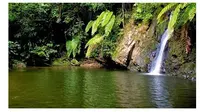 Air Terjun Batu Dinding / Sumber: www.infopku.com