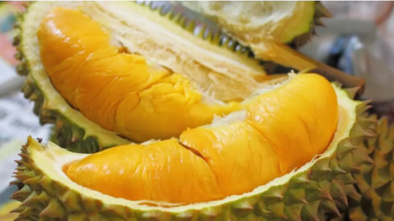 Nekat, Makan Durian Hingga Mimisan *FOTO