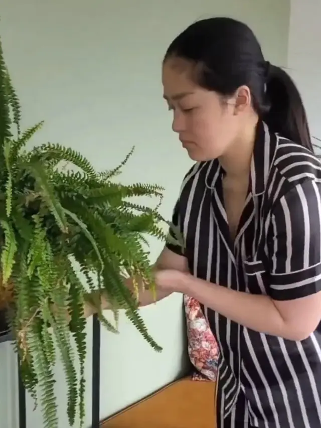 Potret Rumah Gracia Indri di Belanda, Simpel tapi Visualnya Mewah