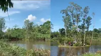 Mengagumkan, viral pulau di Kalimantan Barat bergerak ikuti arus air di jam tertentu. (Sumber: TikTok/1_maret_ultah)