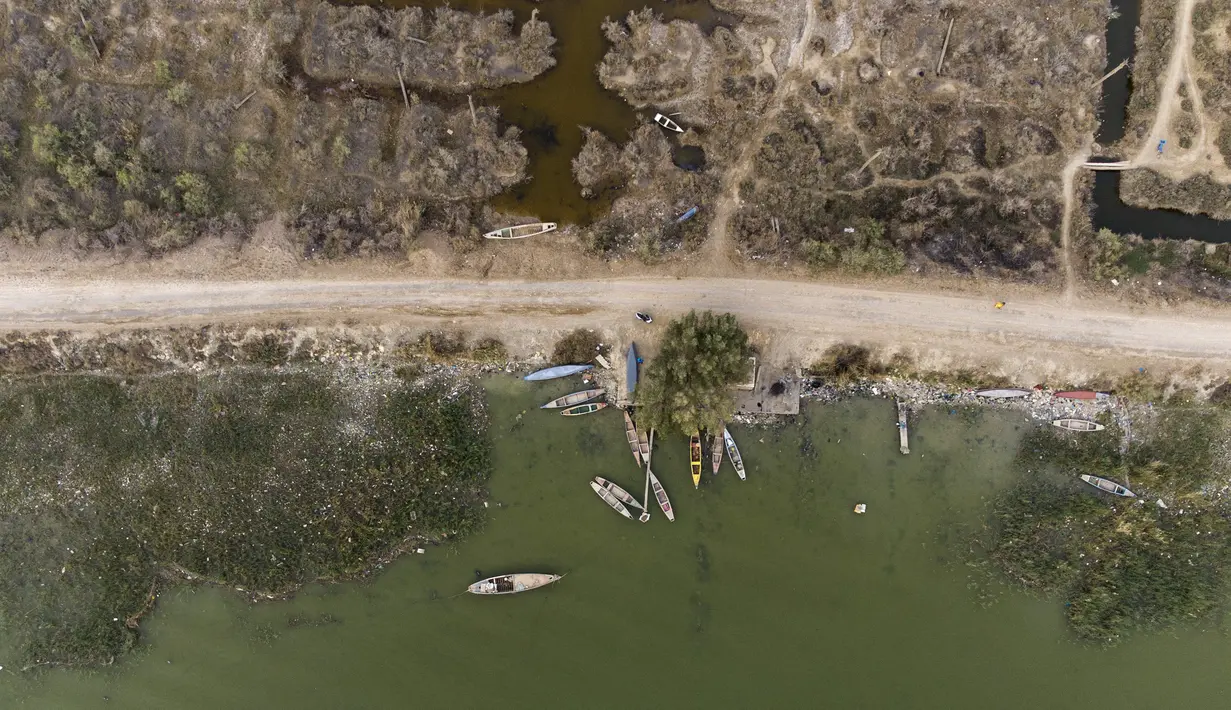 Foto udara memperlihatkan kebun kelapa sawit yang rusak karena garam dan polusi di tepi Sungai Shatt Al-Arab, Basra, Irak, 21 Maret 2022. Basra terletak di jalur air Shatt Al-Arab yang dibentuk oleh pertemuan Sungai Tigris dan Efrat yang mengalir ke Teluk. (Hussein FALEH/AFP)
