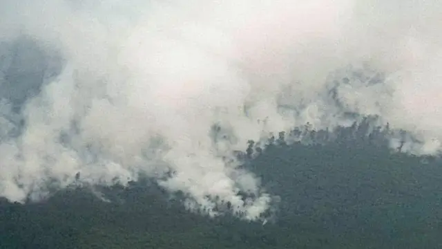 Kebakaran Hutan