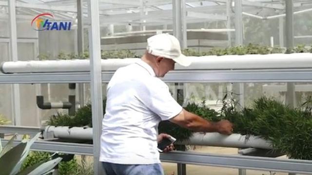 Mark Sungkar memilih untuk menepi dari dunia hiburan