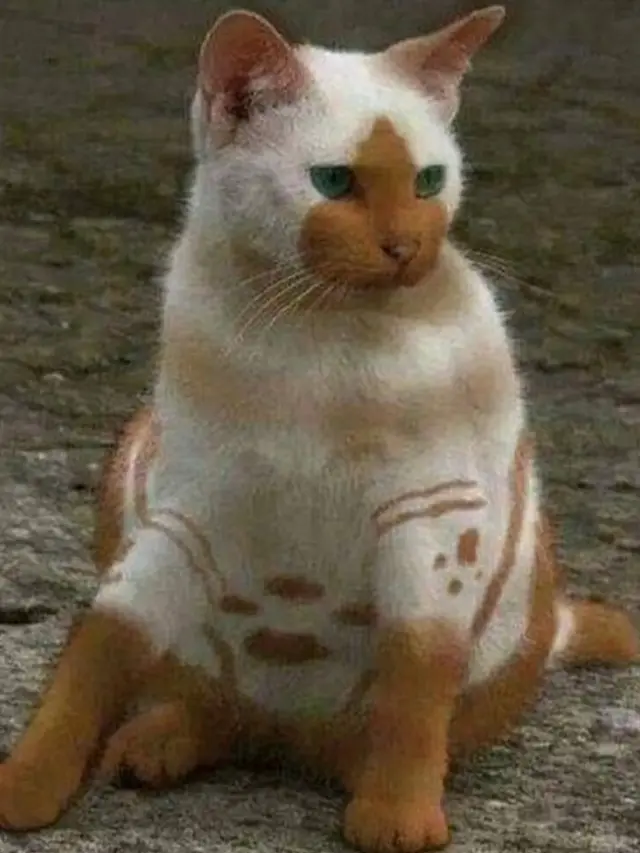 6 Potret Kucing dengan Warna Bulu Nyeleneh, Lucu Tapi Bikin Kasihan