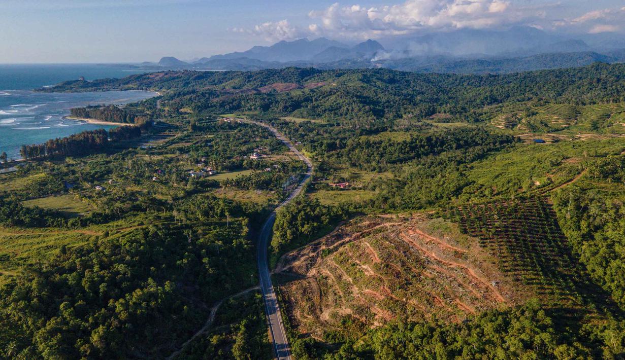 Forest Watch Indonesia (FWI) mencatat luas hutan di Provinsi Aceh berkurang sekitar 177 ribu hektare dalam waktu tujuh tahun. Tampak foto udara menunjukkan pemandangan umum area penanaman baru untuk perkebunan kelapa sawit di Lamno, Provinsi Aceh, Minggu 18 Januari 2026. (CHAIDEER MAHYUDDIN/AFP)