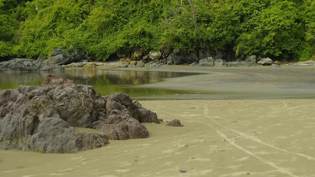 Taman Nasional Meru Betiri