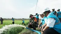 PT PLN (Persero) siap mendukung program ketahanan dan kedaulatan pangan nasional dengan menyuplai listrik untuk lahan percontohan di kawasan Food Estate garapan Kementerian Pertanian bersama TNI di Merauke, Papua Selatan. (Dok. PLN)