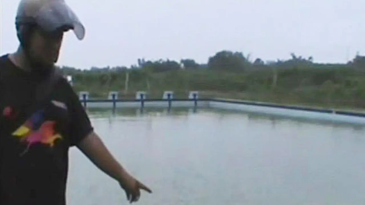 (Lip6petang) Korban Proyek Kolam Renang