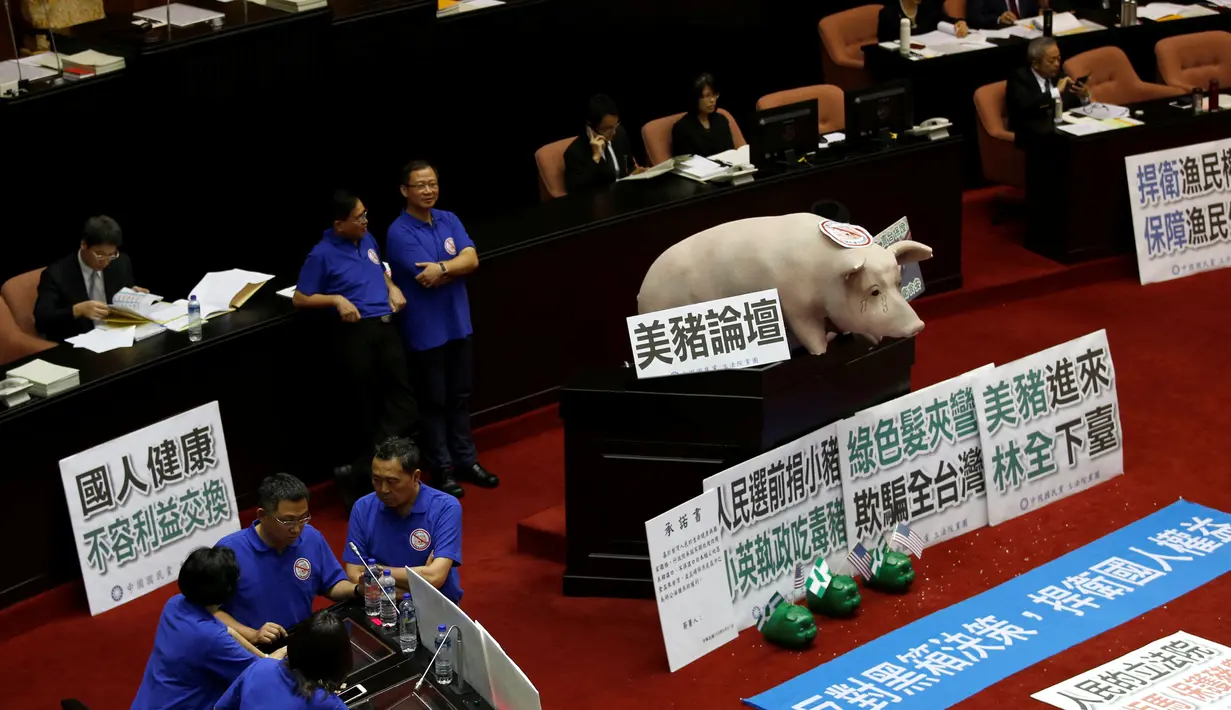 Boneka babi ditempatkan di ruang legislatif untuk menentang kebijakan impor daging babi di Taipei , Taiwan 31 Mei 2016. Hal ini dilakukan untuk memblokir Premier Lin Chuan dari penyampaian laporan kebijakan pertamanya. (REUTERS / Tyrone Siu)