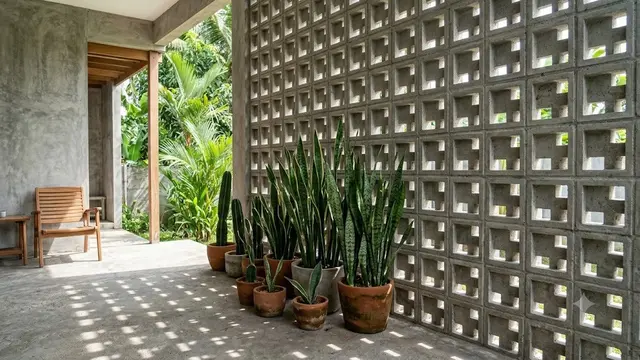 Ide Teras Rumah dengan Kaktus dan Beton Ekspos