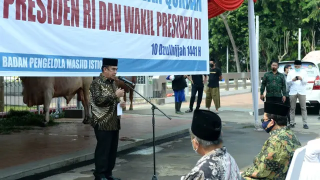 Jokowi Serahkan Sapi Kurban Seberat 1 Ton ke Masjid Istiqlal