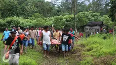 Petugas dibantu warga saat membawa Harimau Sumatera di Taman Nasional Batang Gadis, Desa Batu Madingding, Kecamatan Muara Soma Kabuten Mandailing Natal, Sumatera, Kamis (26/11). Harimau Sumatera terjerat jebakan yang dibuat warga. (Ori Kakigunung)
