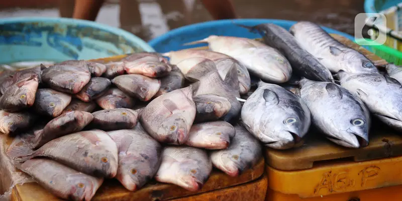 Ketersediaan Ikan Dipastikan Aman Selama Ramadhan Hingga Lebaran
