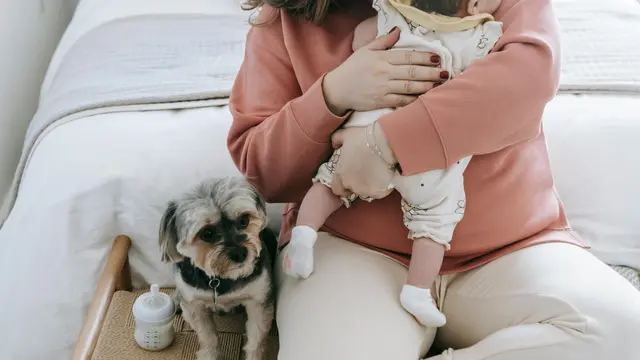 Memberikan Kebahagiaan dalam Kehidupan Sehari-Hari