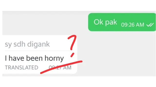 Percakapan dengan Terjemahan Otomatis Ini Bikin Tepuk Jidat