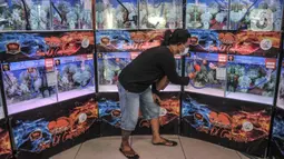 Peserta sedang 'Wayangi' ikan Louhan saat Soul of Competition di Pasar Ikan Hias Johar Baru, Jakarta, Minggu (24/10/2021). Kontes ini untuk menghidupkan kembali para peternak bibit ikan Louhan baik secara ekonomi dan menumbuhkan kecintaan masyarakat pada ikan hias. (merdeka.com/Iqbal S. Nugroho)