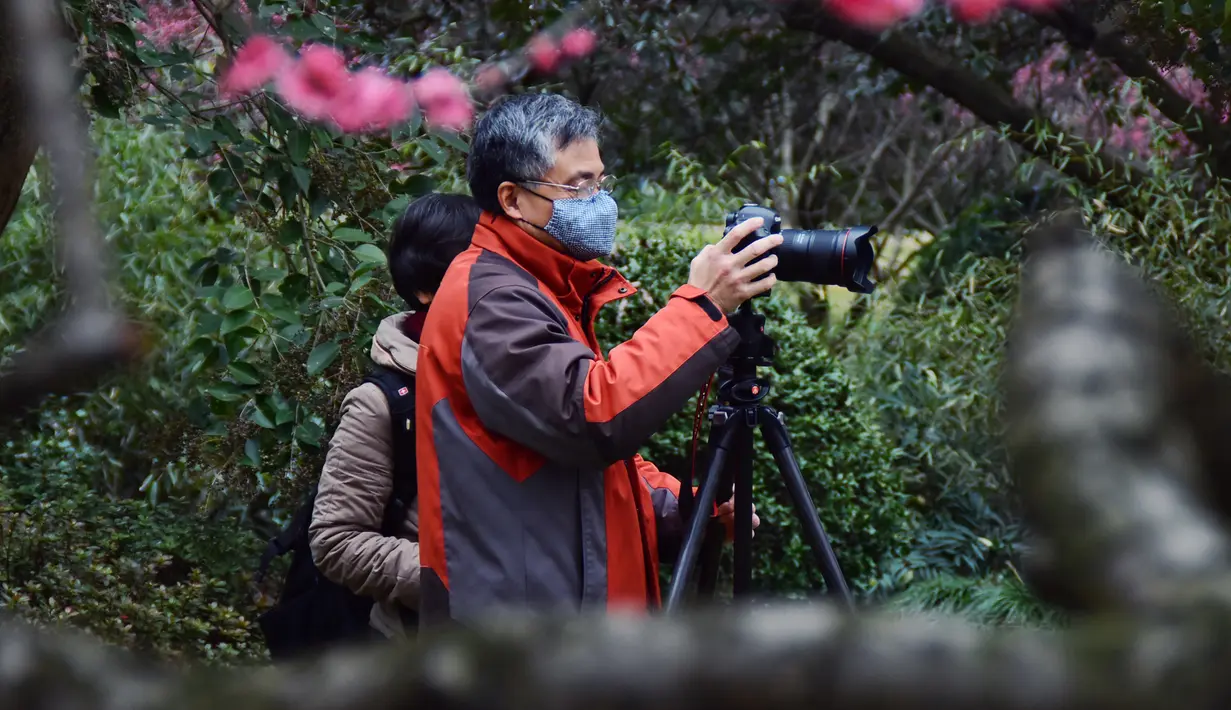 Seorang pengunjung memotret bunga plum di taman botani Hangzhou di Hangzhou, Provinsi Zhejiang, China timur (19/2/2020). Taman-taman dan objek wisata yang tergabung dalam kawasan Danau Barat telah dibuka kembali secara teratur pada Rabu (19/2). (Xinhua/Zheng Mengyu)