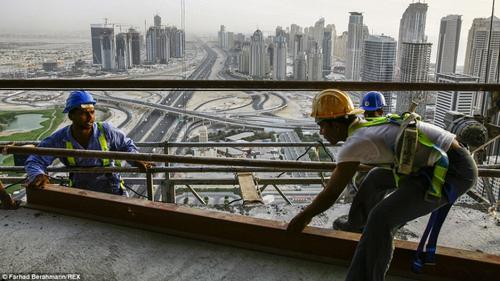 Atirgul shaklidagi jinsiy olatni surati