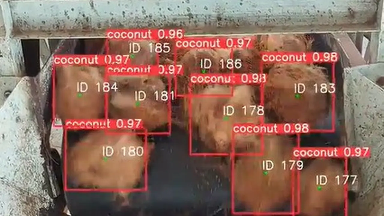 Coconut Counter Widya Robotics