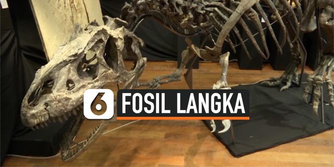 VIDEO: Fosil Langka Allosaurus dilelang Seharga 3 Juta Dolar Amerika