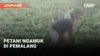 Petani