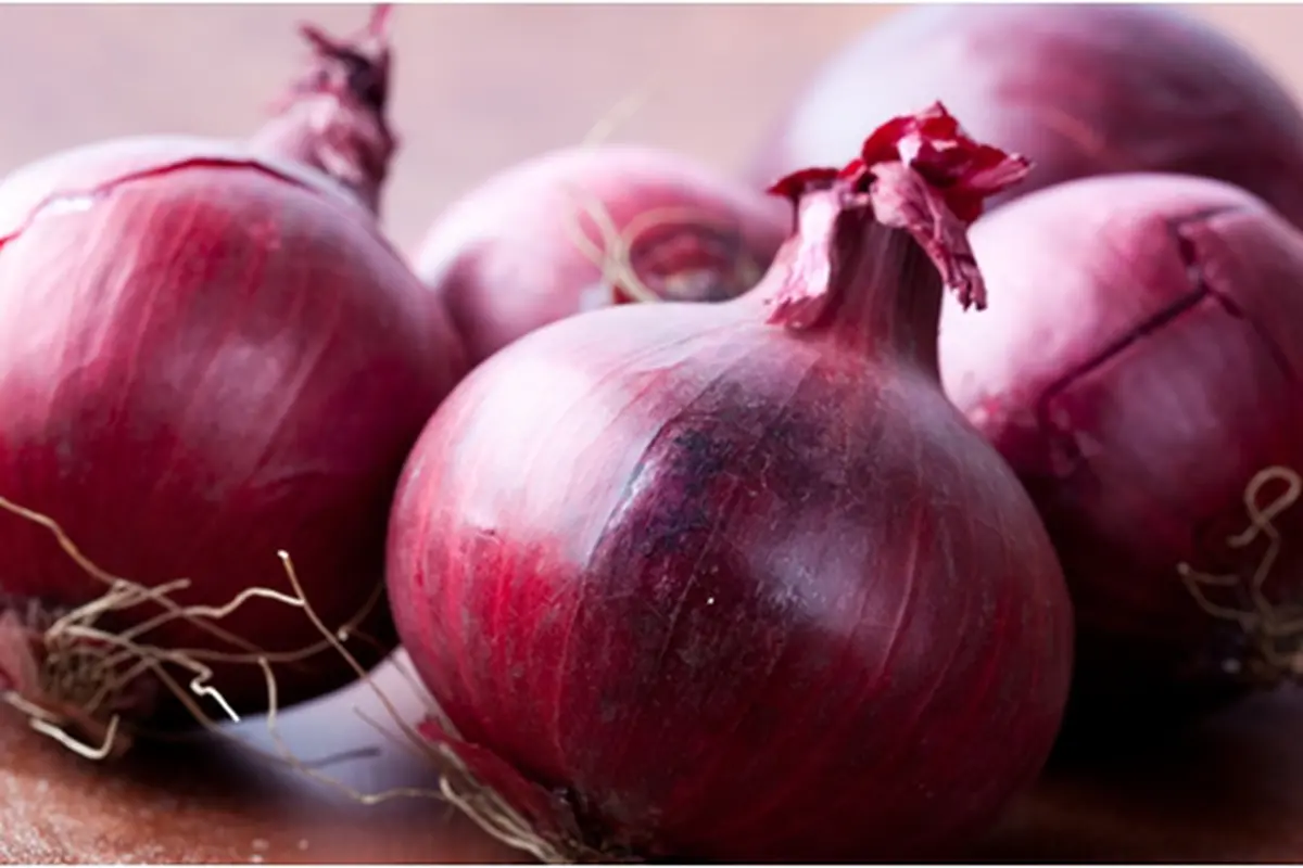 Courtesy ShutterStock.com