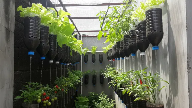 Kebun Sayur Mini di Lahan Sempit dengan Penyiraman Otomatis Tanpa Listrik