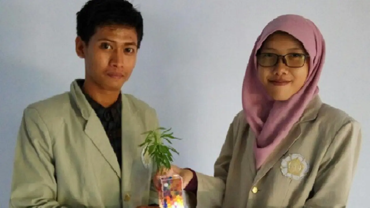 Lampu Pengusir Nyamuk