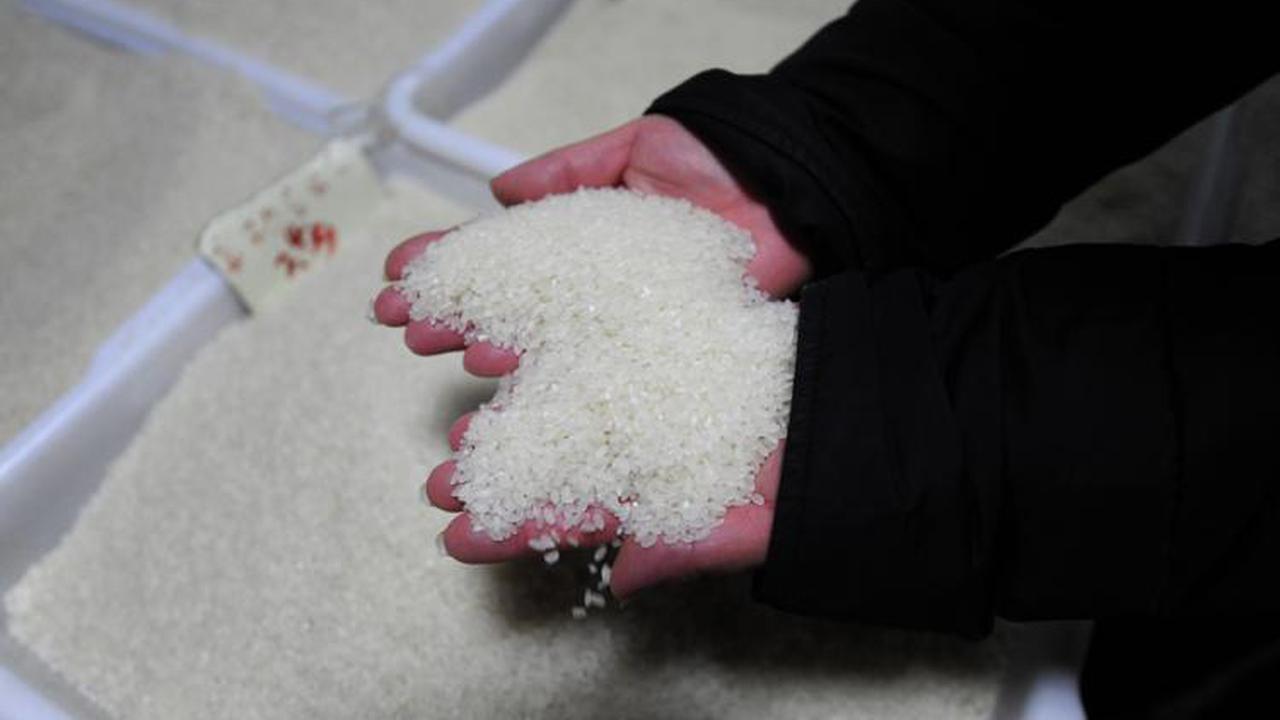 [Bintang] Beras Plastik dan Beras Tercemar Lain Dari China