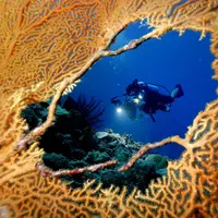 Berikut tempat-tempat yang harus kamu kunjungi kalau ingin mencicip ekostisme bawah laut Indonesia.