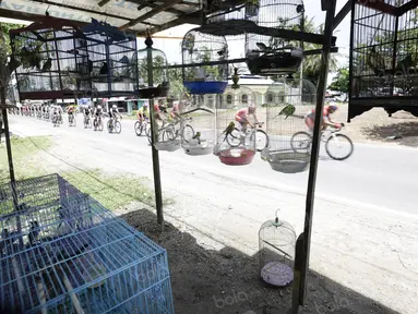 Deretan burung dalam sangkar yang dijual pedagang menjadi daya tarik tersendiri pada etape ke-5 Tour de Singkarak dari Pantai Carocok-Painan menuju pantai Gondoriah-Pariaman, Sumatera Barart. (Bola.com/NIcklas Hanoatubun) 