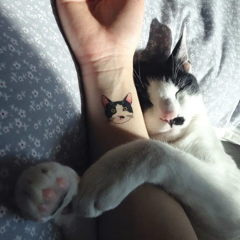 8 Tato Lucu, Cocok Bagi Kamu Pecinta Kucing