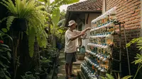 Ide Ternak di Rumah Subsidi Tanpa Halaman Belakang yang Minim Bau dan Mudah Dikelola
