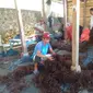 Budidaya rumput laut di Kampung Pogo.&nbsp;