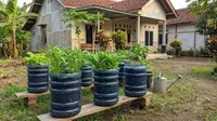 Tips Menata Galon Bekas sebagai Pot Sayur agar Tumbuh Subur, Perhatikan Setiap Detailnya