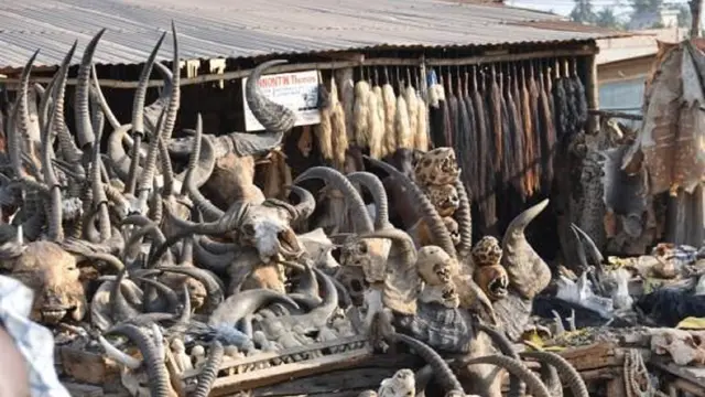 Voodoo Hingga Wanita, Pasar ini Tawarkan Dagangan Tidak Lazim