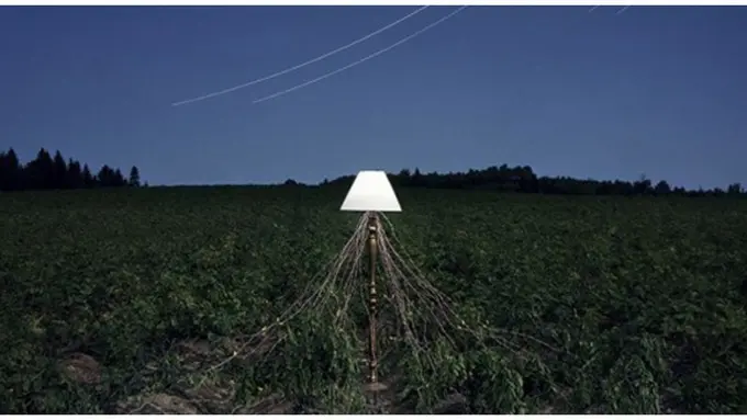 Foto : copyright visualnews.com