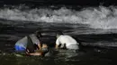 Relawan Sri Lanka mencoba untuk mendorong kembali seekor paus pilot bersirip pendek yang terdampar di pantai Panadura, 25 km selatan Kolombo, 2 November 2020. Relawan berjuang untuk mendorong lusinan paus pilot kembali ke perairan terdampar di pantai Sri Lanka. (Lakruwan WANNIARACHCHI/AFP)