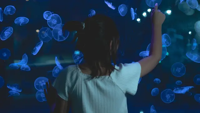 Aquarium Date sebagai Pilihan Destinasi Penuh Edukasi Saat Liburan untuk Anak