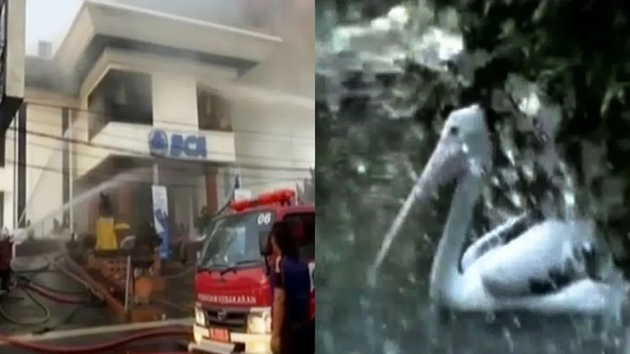Kantor BCA di Bali Dilalap Api hingga Pengunjung Padati Ragunan