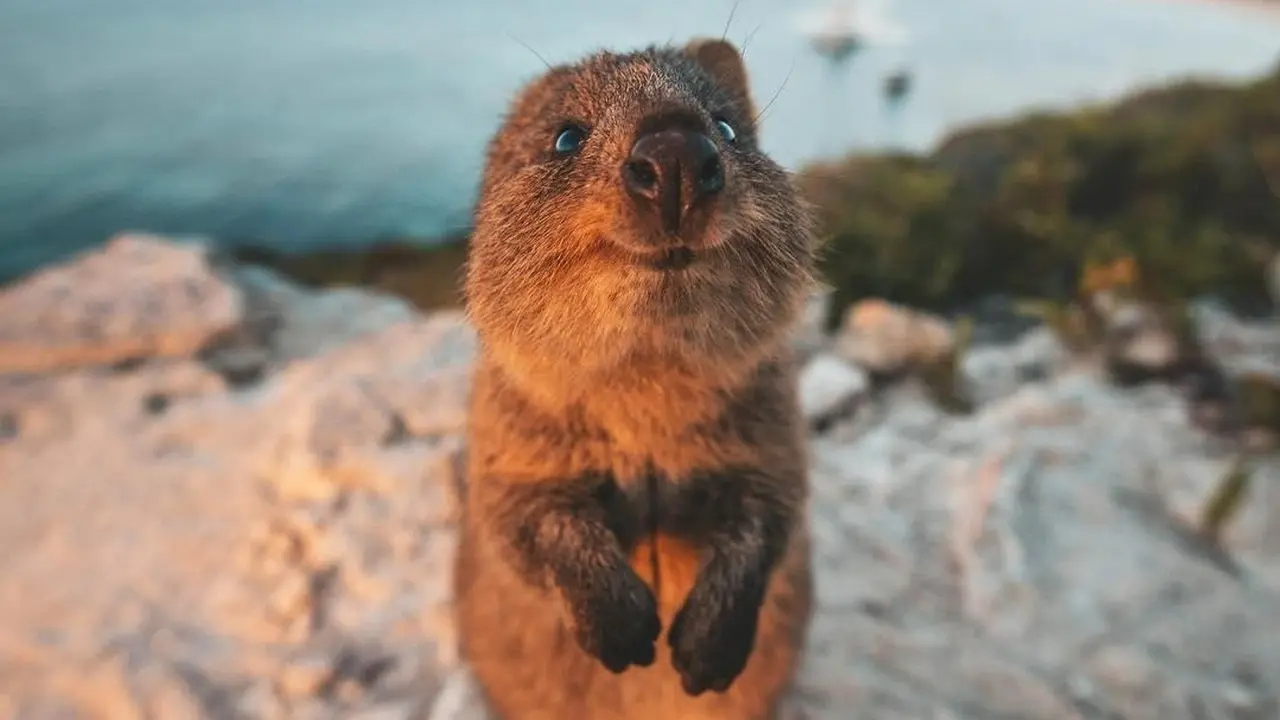 Australia